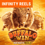 Buffalo Win